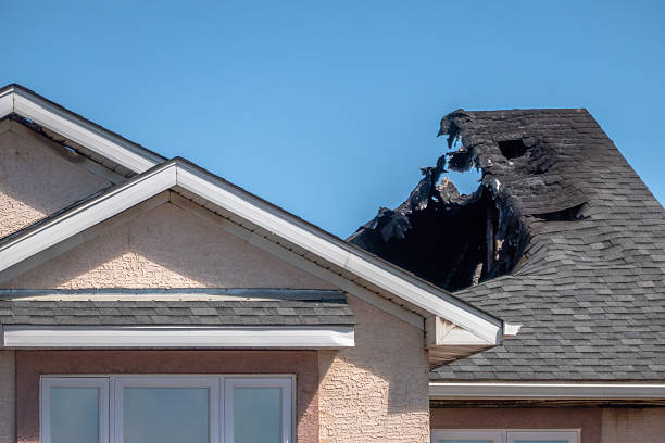 Top rated local Fire Damage Removal specialists in Clinton, NJ